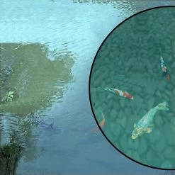 Shimano Sunglass Biomaster 5 Shimano Sunglass Biomaster -Shimano Winkel d40903966787417bb642e6e34e1f3756